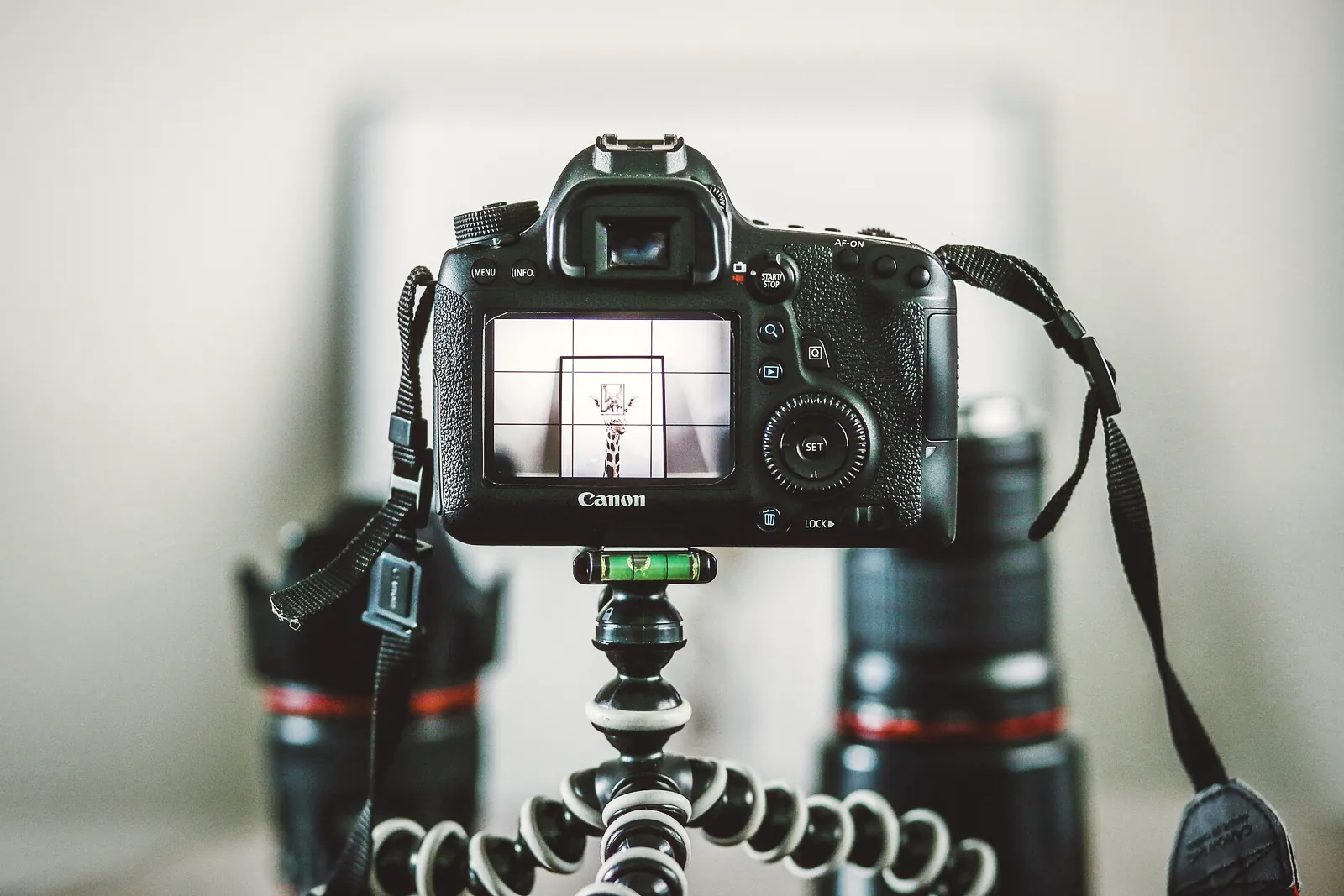 A camera on a small flexible tripod, its rear screen showing the shot